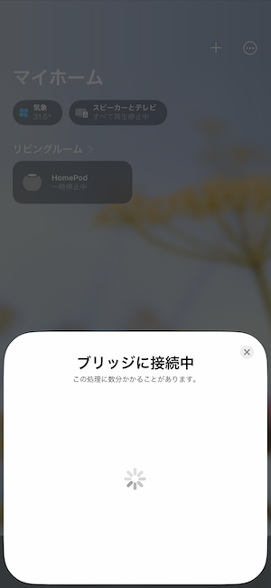 IMG_1529.PNG